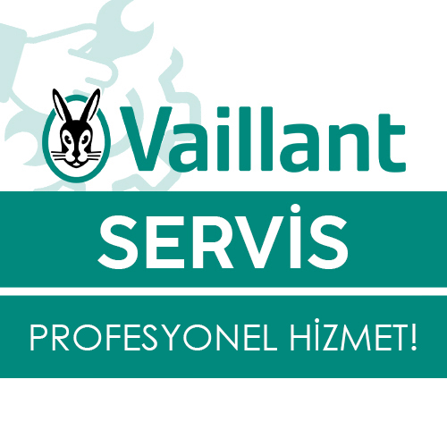 Aliağa Vaillant Servisi5 (1)