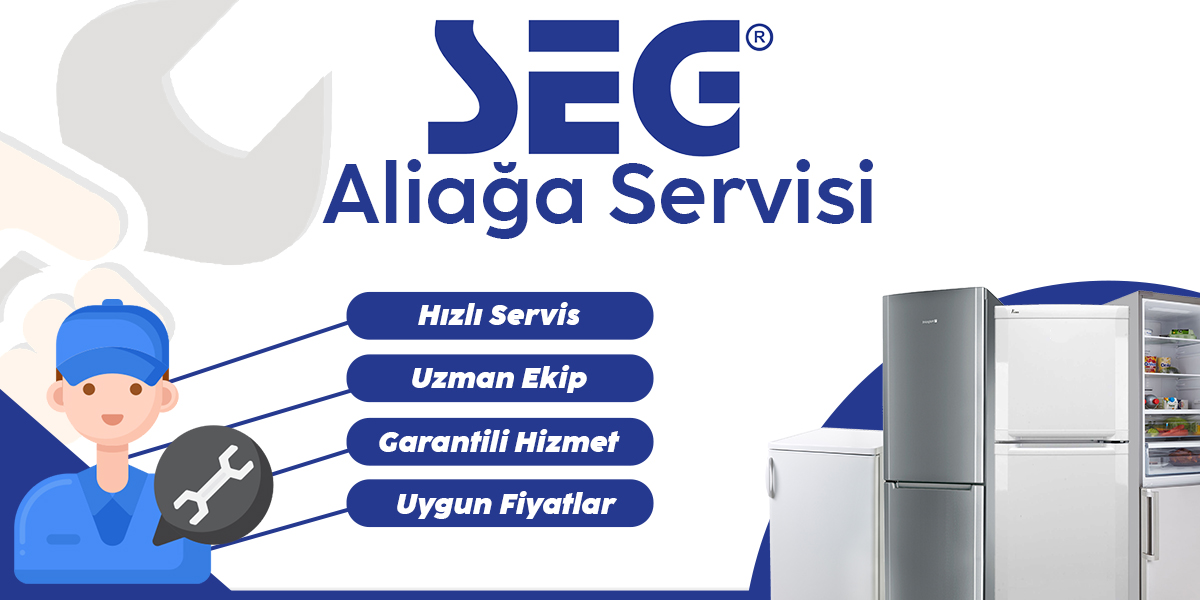 Aliağa SEG Servisi