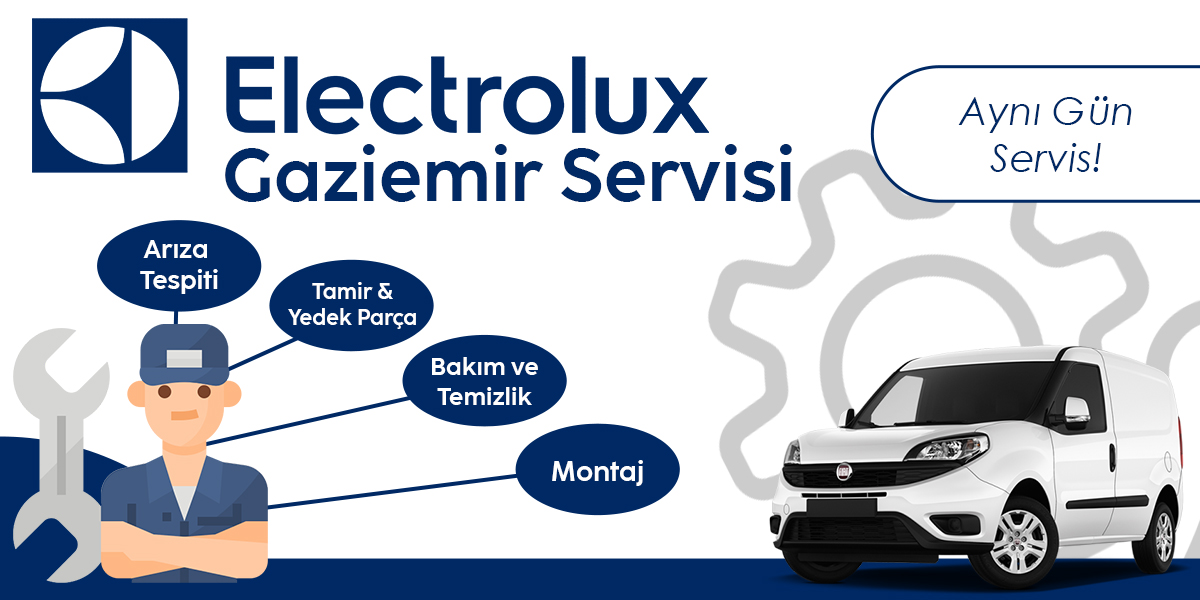 Gaziemir Electrolux Servisi