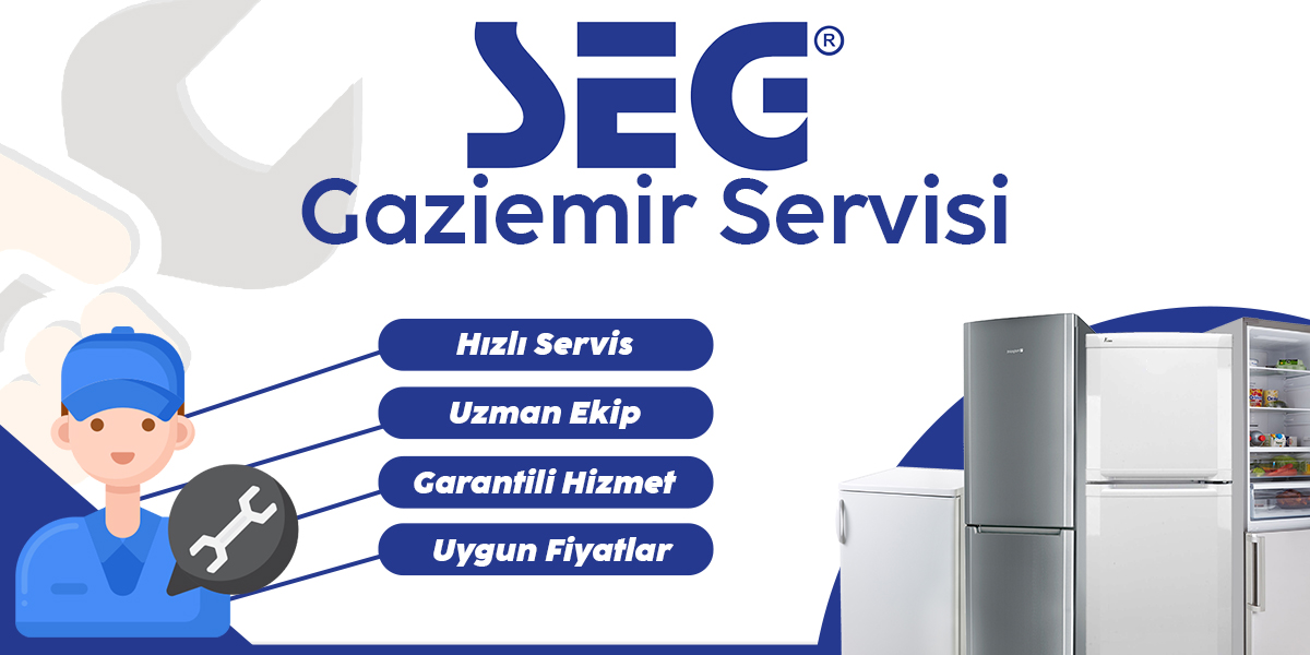 Gaziemir SEG Servisi