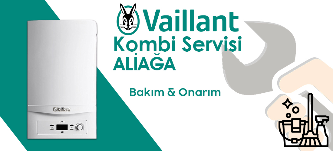 Vaillant Aliağa Servisi