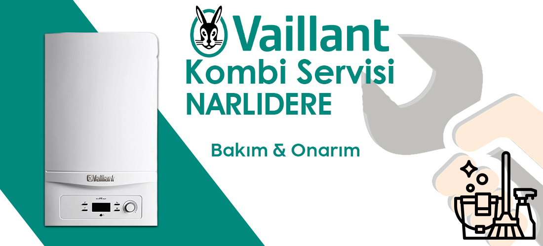 Vaillant Narlıdere Servisi