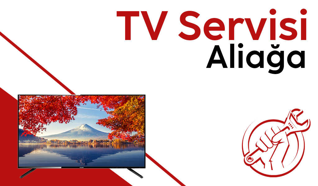 Aliağa TV Servisi