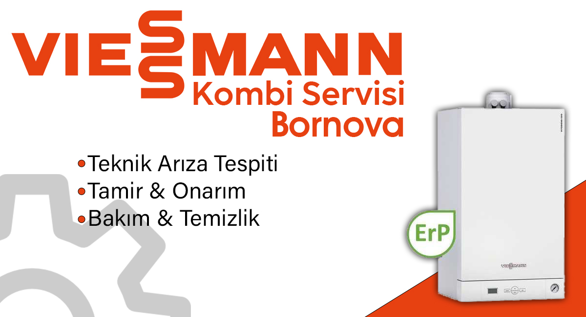 Bornova Viessmann Servisi