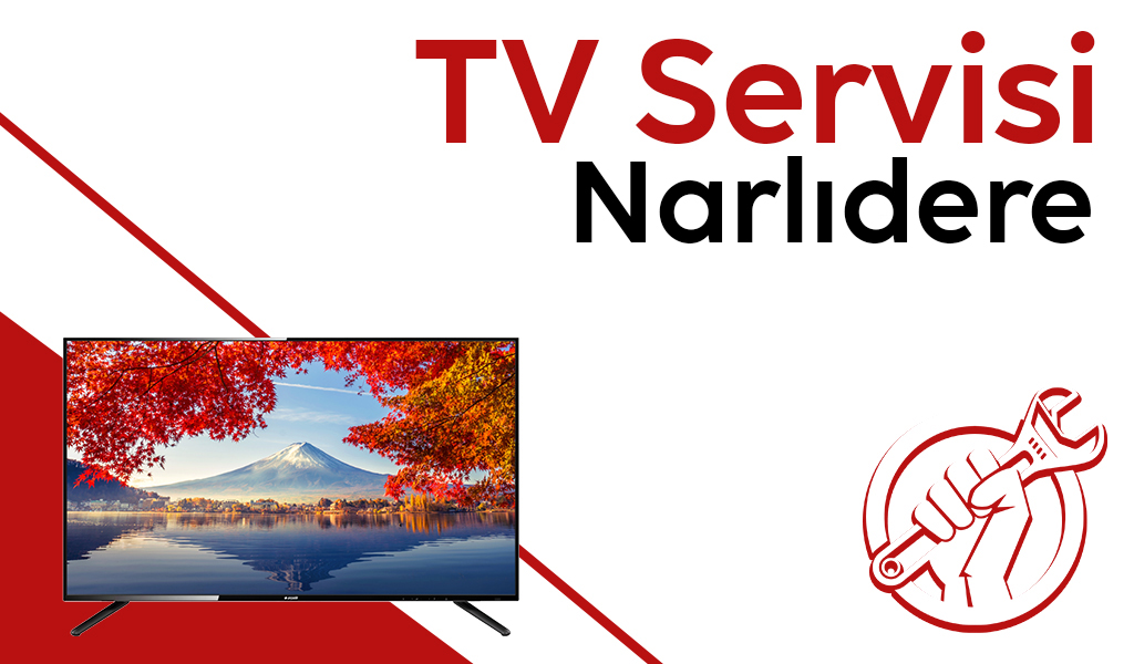 Narlıdere TV Servisi